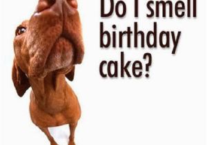 Funny Happy Birthday Quotes with Pictures Funny Birthday Sayings