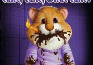 Funny Happy Birthday Quotes with Pictures Happy Birthday Quotes Funny Quotesgram