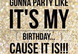 Funny Happy Birthday to Me Quotes 25 Happy Birthday Funny Quotes Quotes Words Sayings