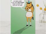 Funny Horse Birthday Cards Funny Birthday Cards Zazzle