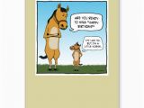 Funny Horse Birthday Cards Funny Birthday Quotes with Horses Quotesgram