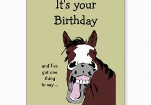 Funny Horse Birthday Cards Funny Birthday Quotes with Horses Quotesgram