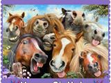 Funny Horse Birthday Memes Feliz Aniversario Rsrs Birthday Pinterest Happy
