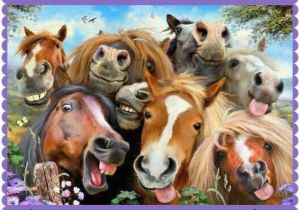 Funny Horse Birthday Memes Feliz Aniversario Rsrs Birthday Pinterest Happy