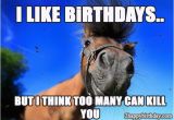 Funny Horse Birthday Memes Funny Happy Birthday Horse Meme Birthday Cookies Cake