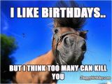 Funny Horse Birthday Memes Funny Happy Birthday Horse Meme Birthday Cookies Cake