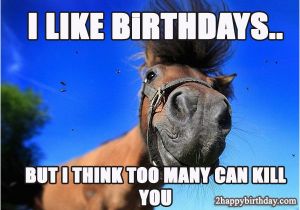 Funny Horse Birthday Memes Funny Happy Birthday Horse Meme Birthday Cookies Cake