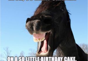 Funny Horse Birthday Memes Happy Birthday Horse Meme Funny songs 2happybirthday