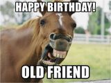 Funny Horse Birthday Memes Happy Birthday Old Friend Horse Luis Meme Generator