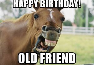 Funny Horse Birthday Memes Happy Birthday Old Friend Horse Luis Meme Generator