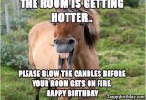 Funny Horse Birthday Memes Hilarious Birthday Wish Horse
