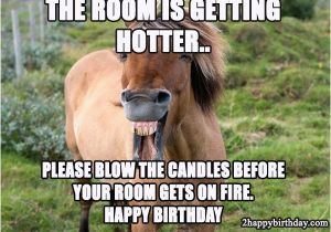 Funny Horse Birthday Memes Hilarious Birthday Wish Horse