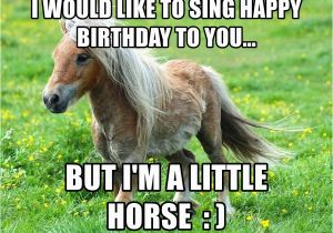 Funny Horse Birthday Memes I Would Like to Sing Happy Birthday to You but I 39 M A