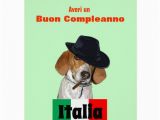 Funny Italian Birthday Cards Funny Italian Birthday Mobster Charley Dog Card Zazzle