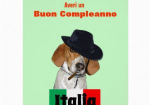 Funny Italian Birthday Cards Funny Italian Birthday Mobster Charley Dog Card Zazzle