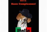 Funny Italian Birthday Cards Funny Italian Birthday Mobster Charley Dog Card Zazzle