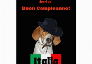 Funny Italian Birthday Cards Funny Italian Birthday Mobster Charley Dog Card Zazzle