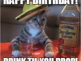 Funny Mexican Birthday Meme Mexican Birthday Memes Wishesgreeting