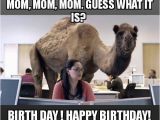 Funny Mom Birthday Memes Funny Birthday Memes for Mom Image Memes at Relatably Com