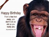 Funny Monkey Birthday Cards Happy Birthday From A Few Feet Away Free Funny
