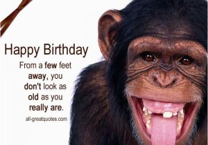 Funny Monkey Birthday Cards Happy Birthday From A Few Feet Away Free Funny