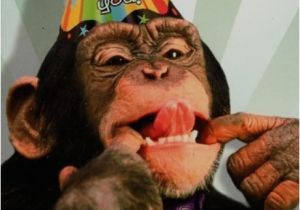 Funny Monkey Birthday Cards Happy Birthday to the Monkey In My Life Paris Let 39 S