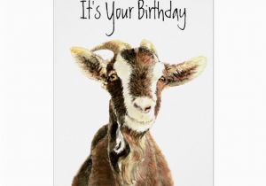 Funny Over the Hill Birthday Cards Funny Birthday Over the Hill Old Goat Humor Card Zazzle