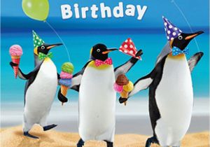 Funny Penguin Birthday Cards Beach Penguins Party Hats Birthday Card Penguin Parade