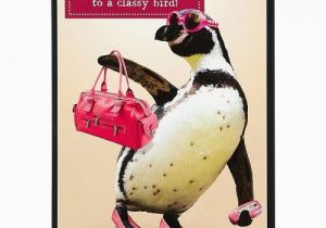 Funny Penguin Birthday Cards Funny Humour Happy Birthday Greeting Card Penguin to A