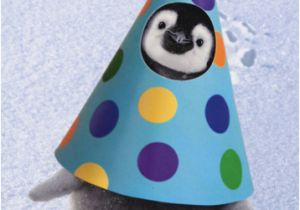 Funny Penguin Birthday Cards Penguin Party Hat Pop Up Stand Out Funny Birthday Card by