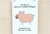 Funny Pig Birthday Cards Funny Birthday Card Funny Card Funny Pig Card