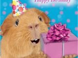 Funny Pig Birthday Cards Funny Guinea Pig Birthday Card Birthday Present Glitter