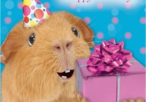 Funny Pig Birthday Cards Funny Guinea Pig Birthday Card Birthday Present Glitter