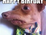 Funny Rude Birthday Meme Happy Birthday Meme Rude Pictures Really Funny Pictures