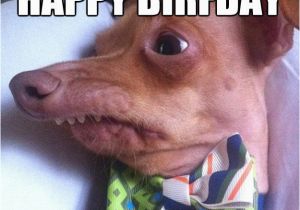 Funny Rude Birthday Memes Happy Birthday Meme Rude Pictures Really Funny Pictures