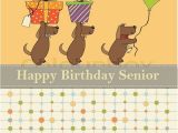 Funny Senior Birthday Cards Birthday Wishes for Senior Happy Birthday Quotes