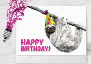 Funny Sloth Birthday Card Birthday Sloth Sloth Card Sloths Smiling Sloth