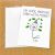 Funny Teenage Birthday Cards Funny Birthday Card for Teen Funny Money Card Oh Look