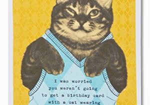 Funny Texas Birthday Cards American Greetings Funny Sweater Cat Birthday Card with