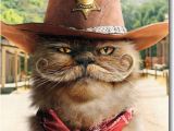 Funny Texas Birthday Cards Sheriff Cat with Mustache Stand Out Pop Up Birthday Card