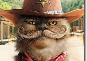 Funny Texas Birthday Cards Sheriff Cat with Mustache Stand Out Pop Up Birthday Card