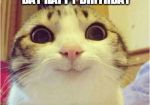 Funny Wife Birthday Meme Happy Birthday Memes for Wife Funny Jokes and Images
