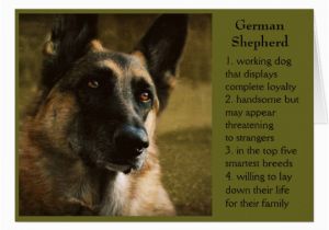 German Shepherd Birthday Cards German Shepherd Birthday Card for Dad Zazzle Com