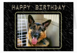 German Shepherd Birthday Cards German Shepherd Birthday Card Zazzle