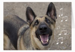 German Shepherd Birthday Cards German Shepherd Birthday Card Zazzle