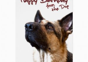 German Shepherd Birthday Cards German Shepherd Fromthedog1 Greeting Card Zazzle