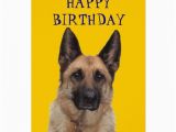 German Shepherd Birthday Cards German Shepherd Happy Birthday Greeting Card Zazzle