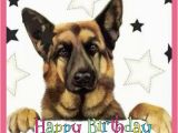 German Shepherd Birthday Cards Happy Birthday Wishes with German Shepherd