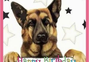 German Shepherd Birthday Cards Happy Birthday Wishes with German Shepherd