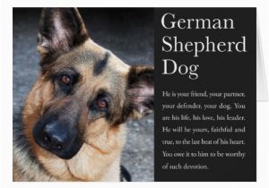 German Shepherd Birthday Cards the Gallery for Gt Happy Birthday German Shepherd